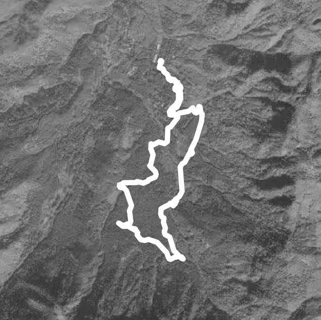 溪頭森林遊樂區