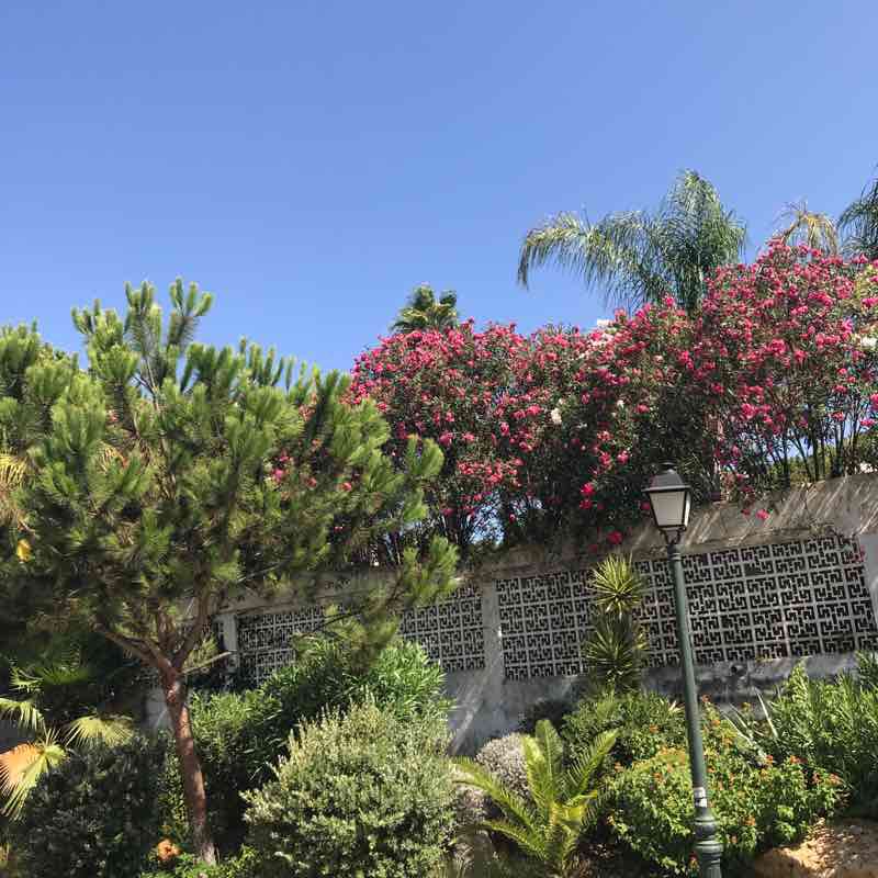 Vale of wolf walk walking route map in Almancil