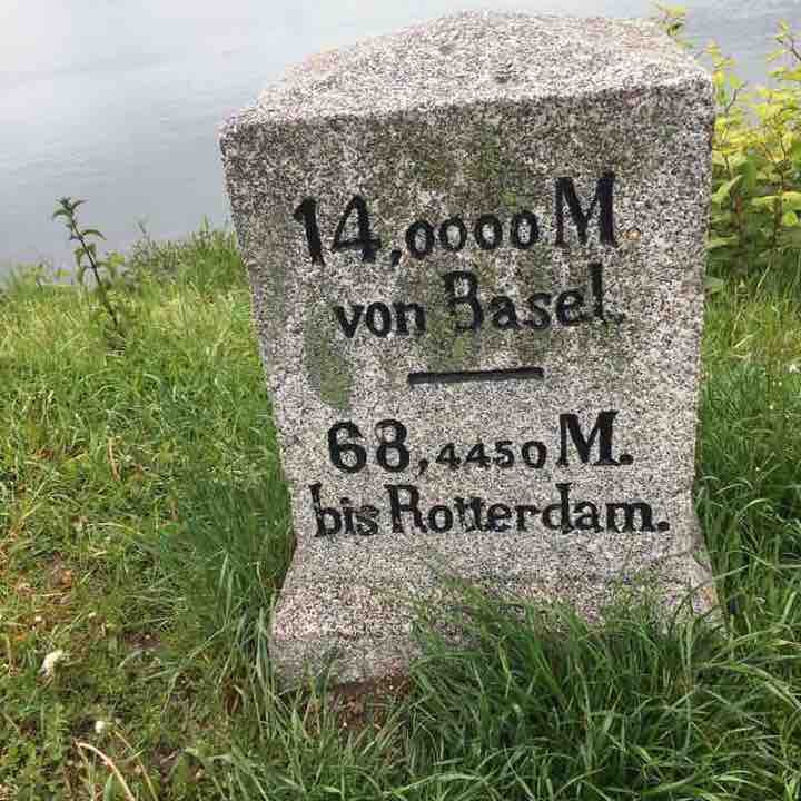 Forests in Rheinau walking route map in Rheinau