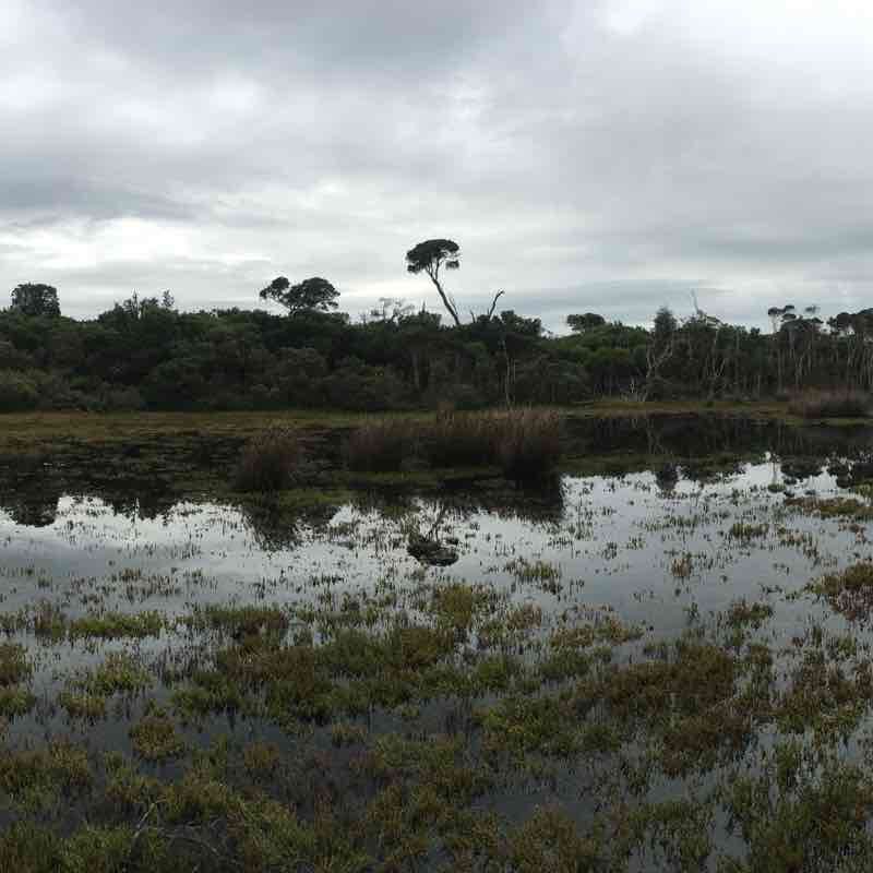 Cape Liptrap coastal walk walking route map in Venus Bay