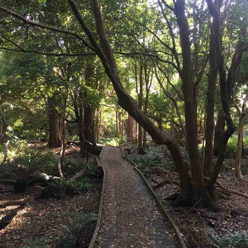 Lilli pilley nature walk walking route map in Wilsons Promontory
