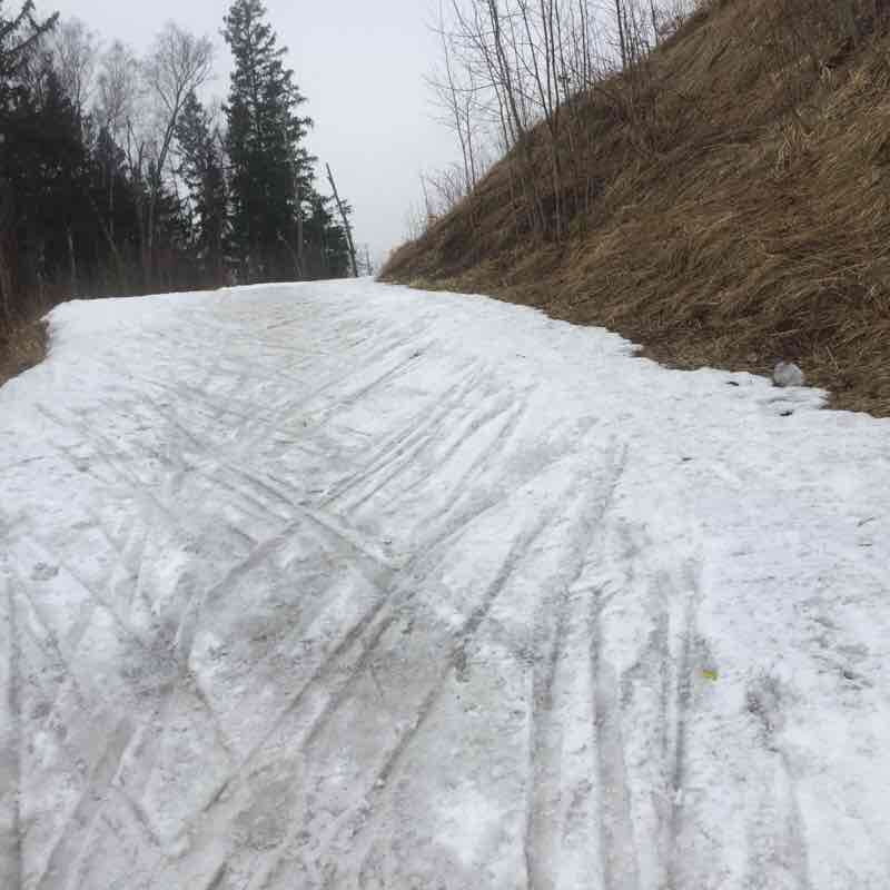 29 марта 2019 восточный 