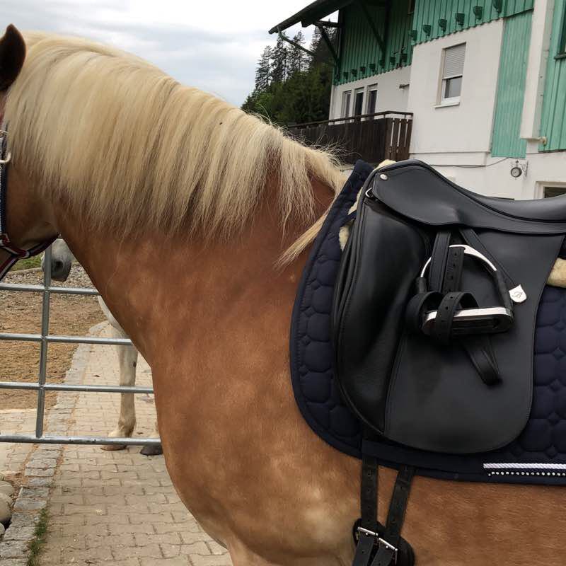 Buchenbühl walking route map in Weiler-Simmerberg