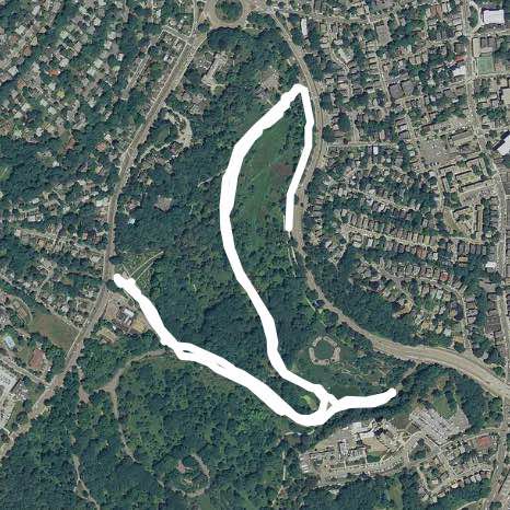 Harvard University Arboretum