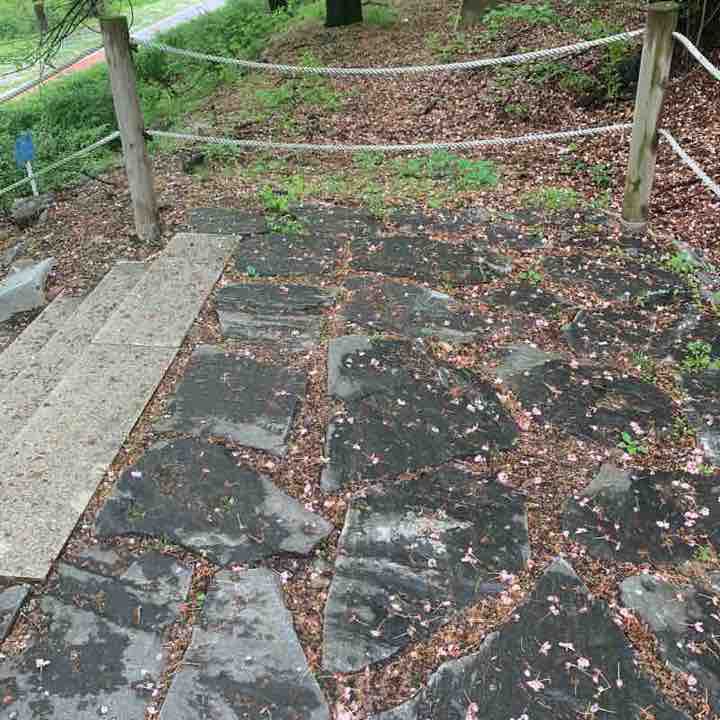 Nature walk on Tanchon after rain