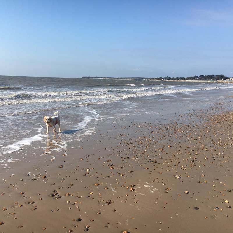 Beautiful Barton on sea to Mudeford beach walk  walking route map in Barton on Sea