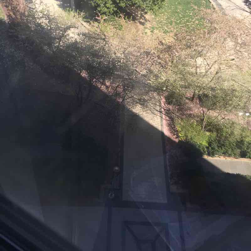 Buddy’s extended walk