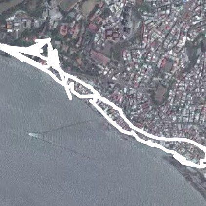 190426_淡海垂樹群_淡水站至海関