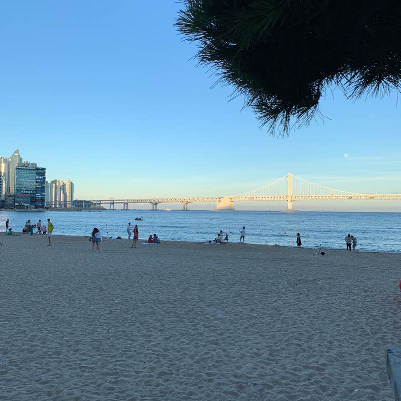 수영강과 광안해수욕장 걷ㄱㅣ