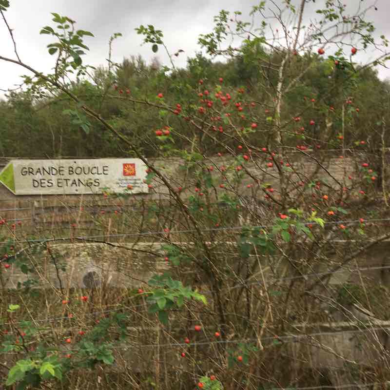The ponds of Toutainville walking route map in Pont-Audemer