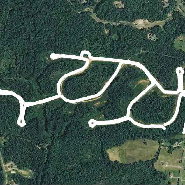 Neighborhood Jog/Walk (3+ Miles)