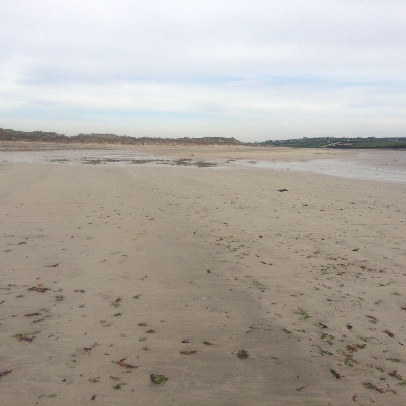 Park at the long Ross walk to short Ross beach walking route map in Castlemagee