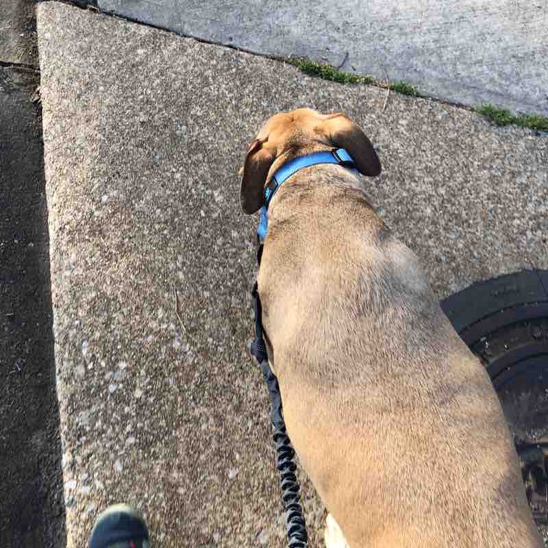 Inner city 1.5 miles