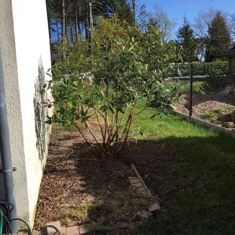 Forest trail walking route map in Férel