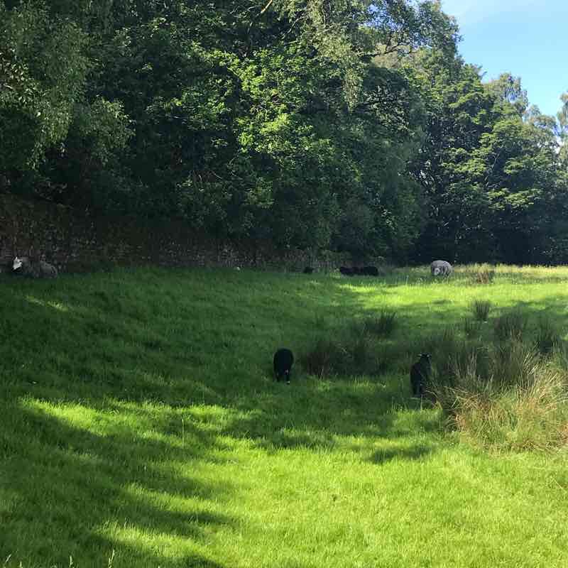Pateley Bridge/ Nought Moor walking route map in Pateley Bridge