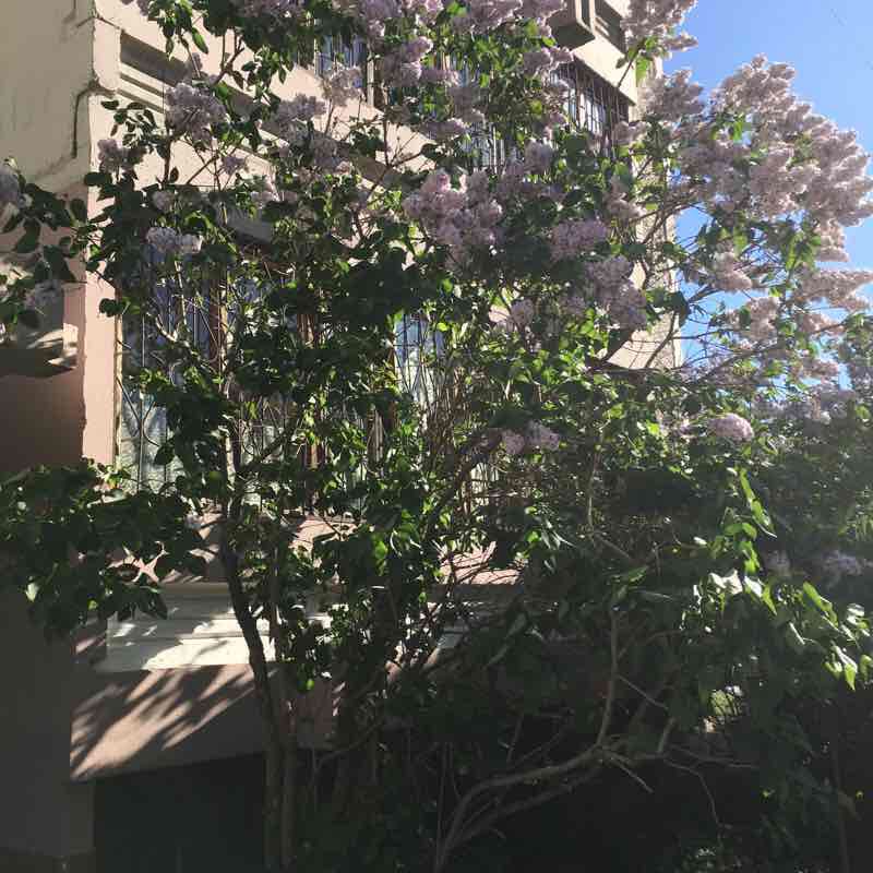 🏃‍♂️🏃🏻‍♀️🚶‍♂️Маршрут 1