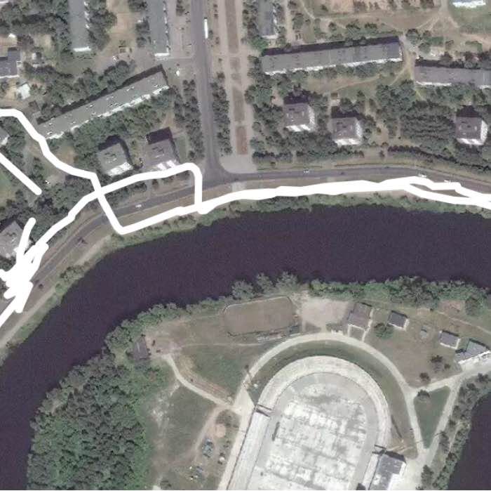 прогулка с собакой