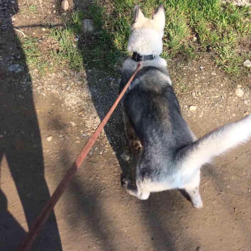 Armavirchik cottages walking route map in Armavir