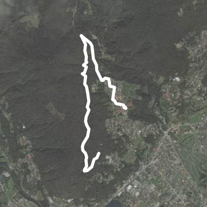 Wald Spaziergang Pura, Ostflanke Monte Mondini