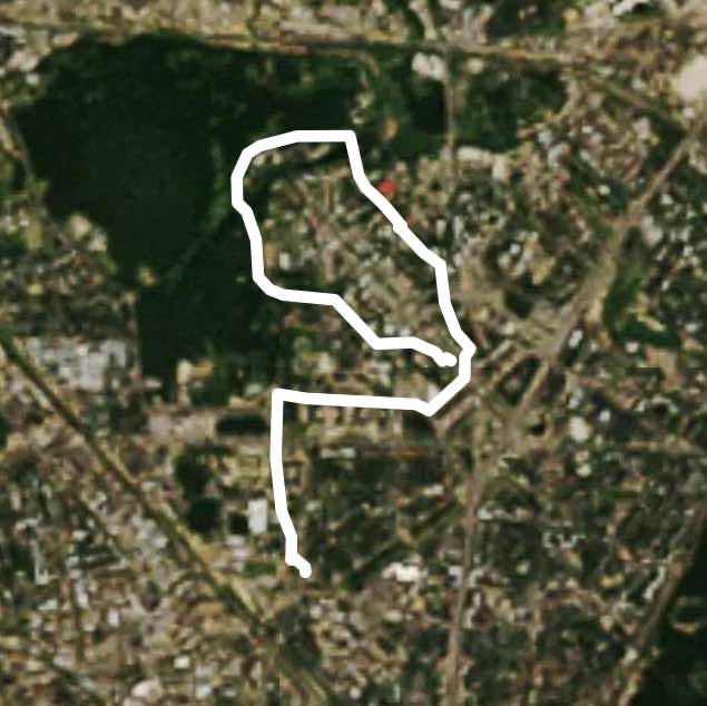 Прогулка 🚶🏼‍♂️