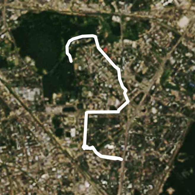 Прогулка 🚶🏼‍♂️