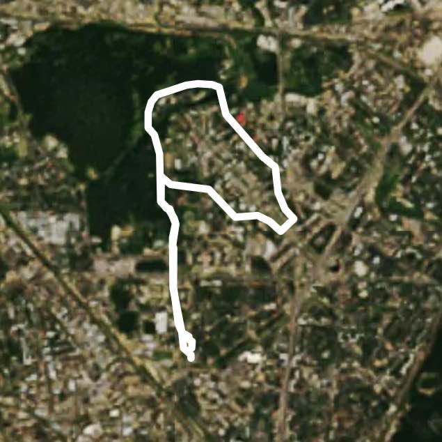 Прогулка 🚶🏼‍♂️