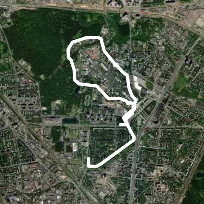 Прогулка 🚶🏼‍♂️