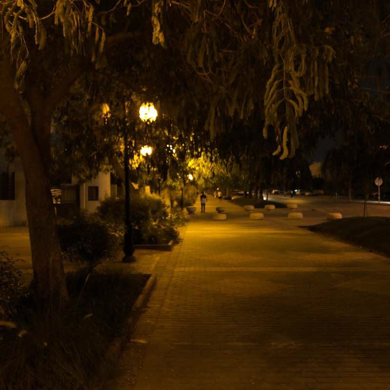 الممشى الجميل🏋🏻‍♂️❤️