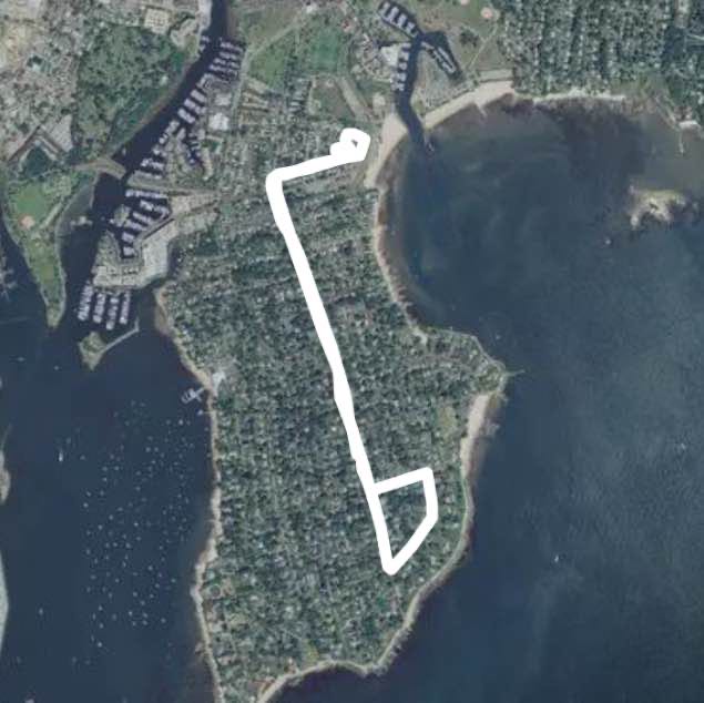 Georgie’s walk with Ema