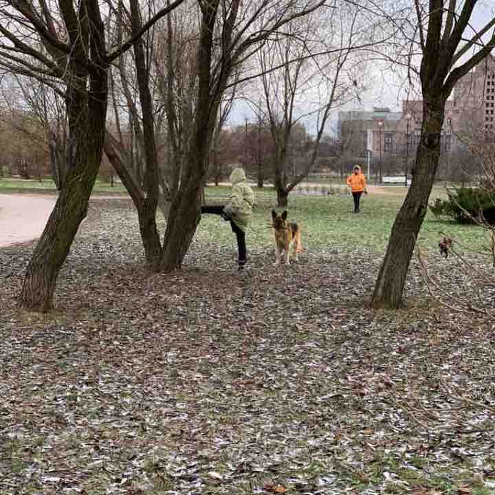 Парк на Белградской улице
