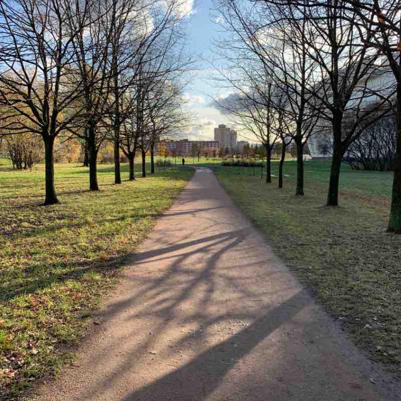 Парк на Бухарестской улице