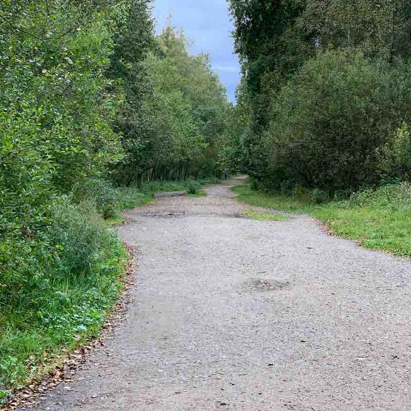 Юнтоловский заказник