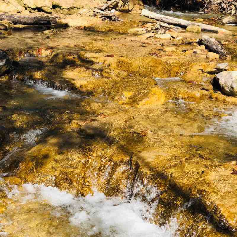 BiberTal Wanderweg Grey Highlands, Ontario, Kanada Pacer