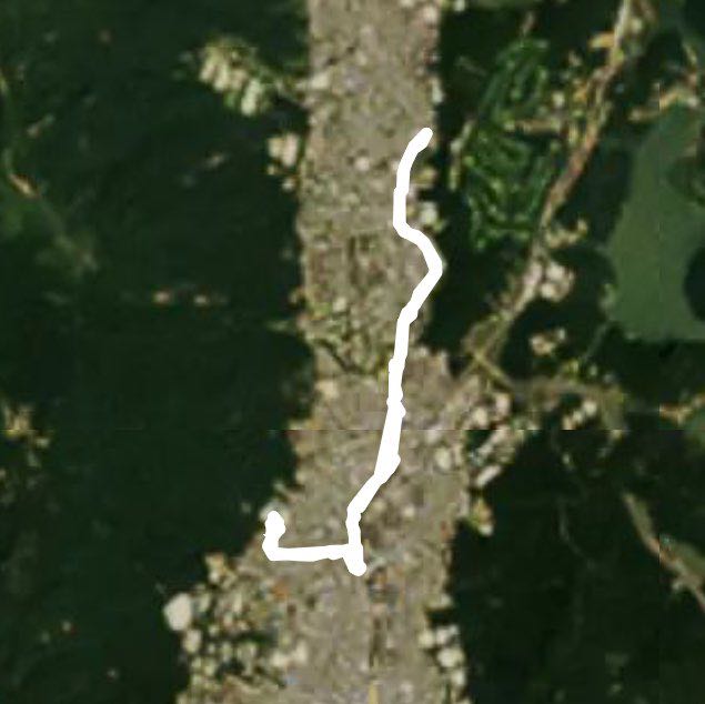 Left Turn Northern Maximum Walk