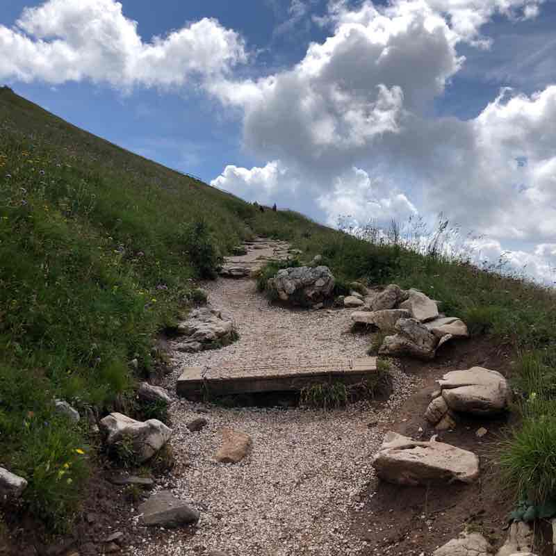 Paolina-Baita Pederiva