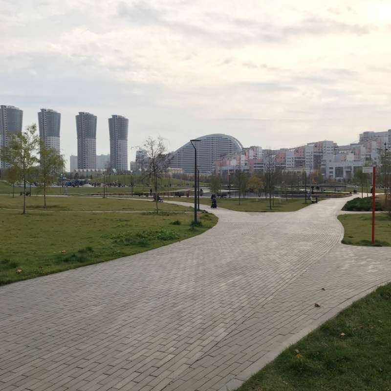 Khodynka’s park run (elastic low)