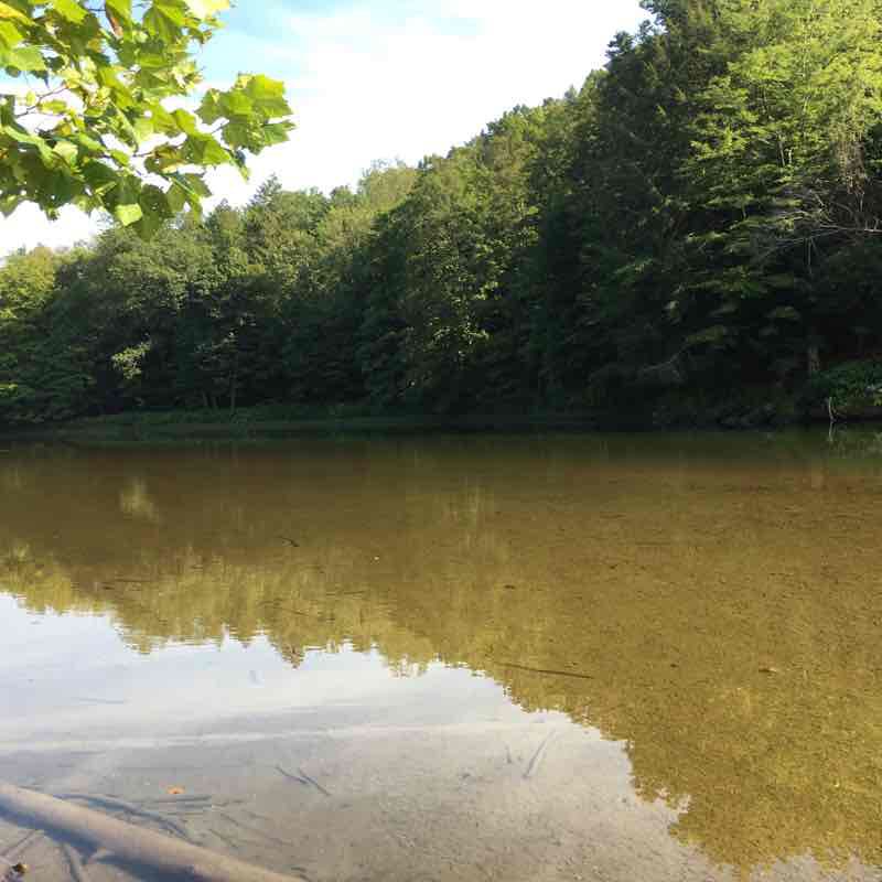 Battenkill  Boogaloo2 walking route map in Greenwich