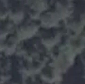 Для прогулок