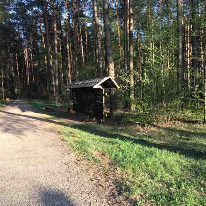 3 km. Žilvino takas