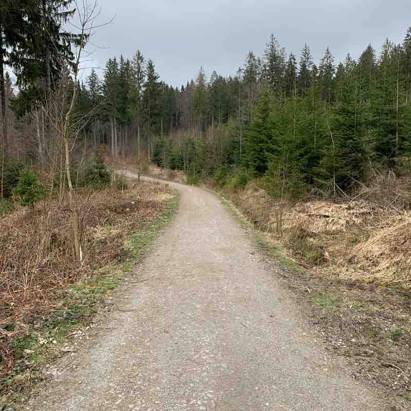 Höhenklinik walking route map in Weißenstadter Forst-Süd