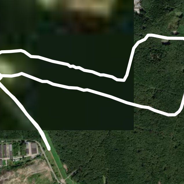 Carter's Grom Kids and Girls 2019