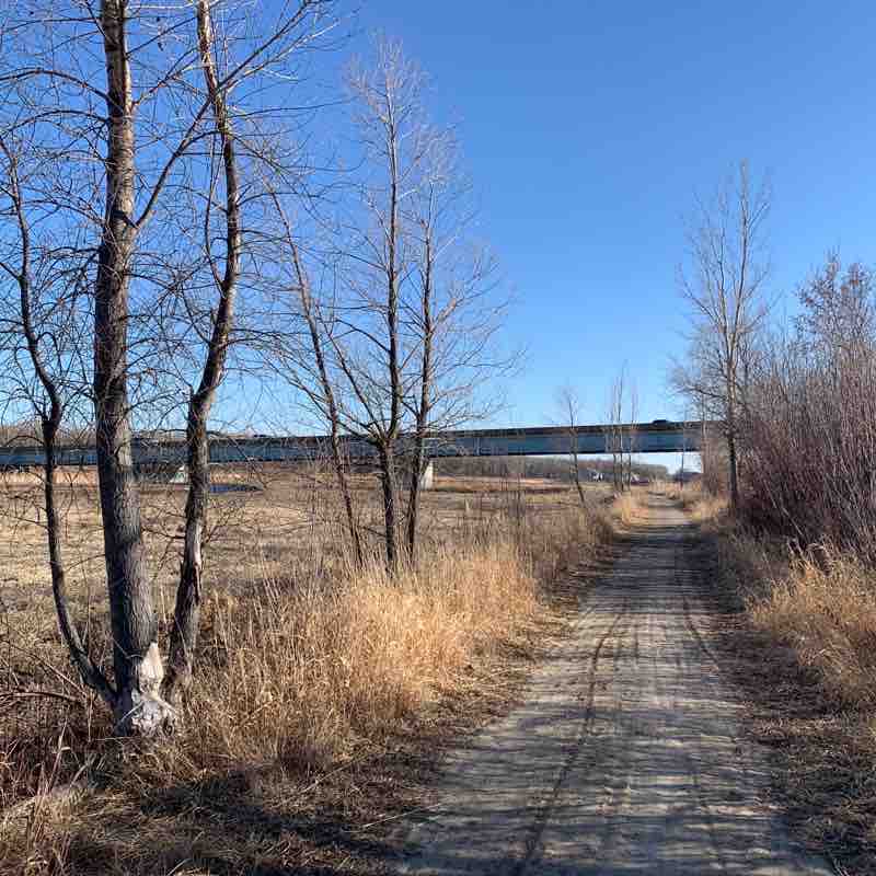 Around the Zoo & Under the Bridge.