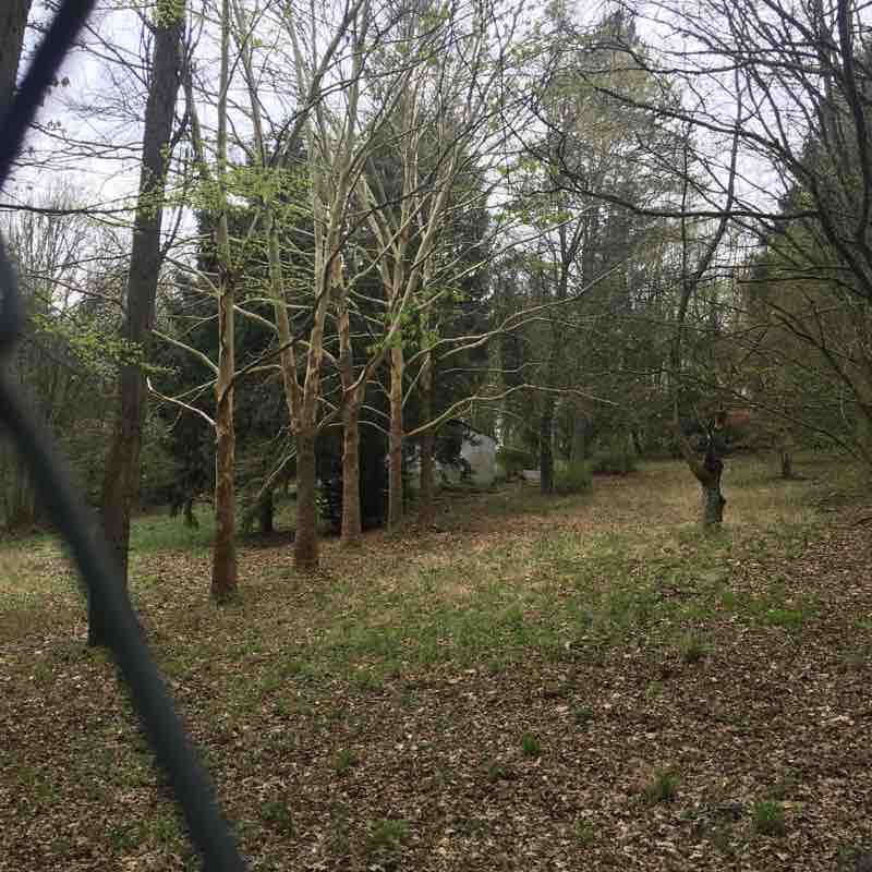 The hour walk walking route map in Veitshöchheim
