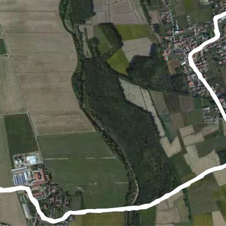 Sologno