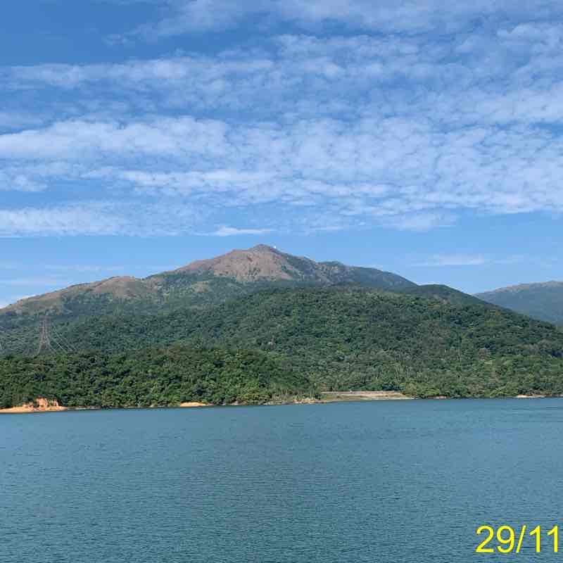 蹤行針至沙田火車站