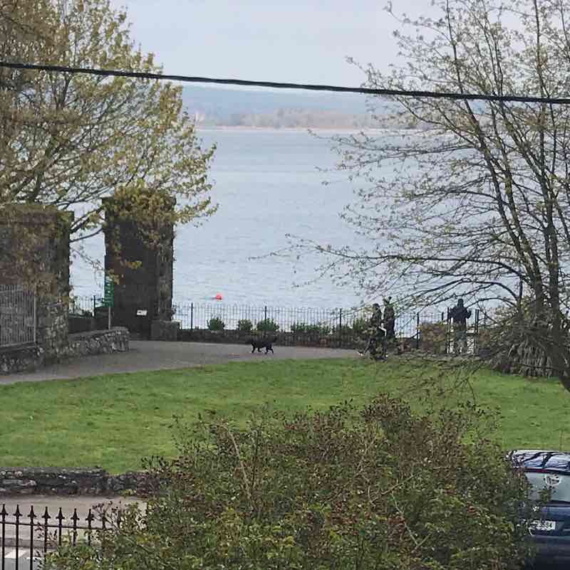 The Line ( Passage to Hop Island )  walking route map in Carrigaloe