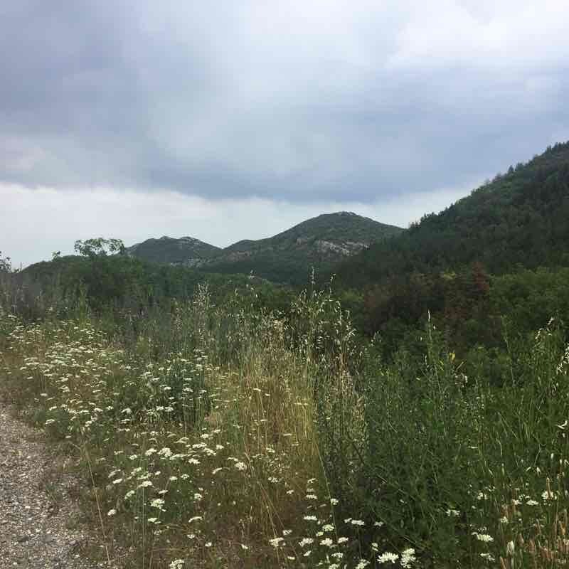 La Cadiere - Cambo by the trails walking route map in La Cadière-et-Cambo