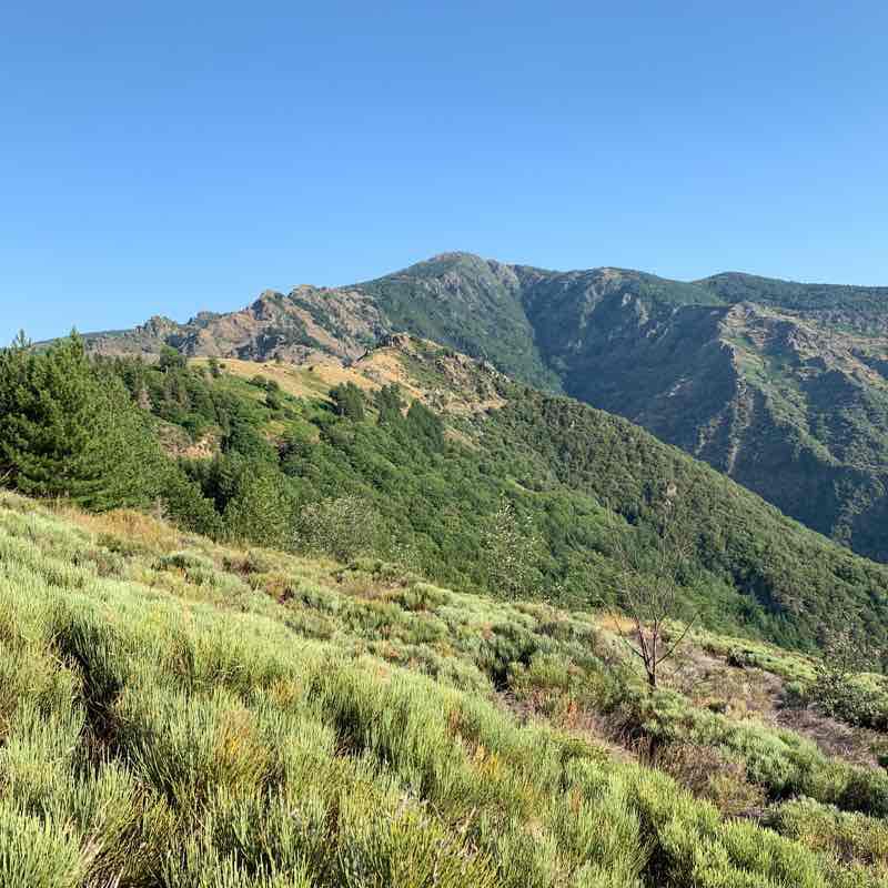 4000 "steps" - Mount Aigoual walking route map in Val-d'Aigoual