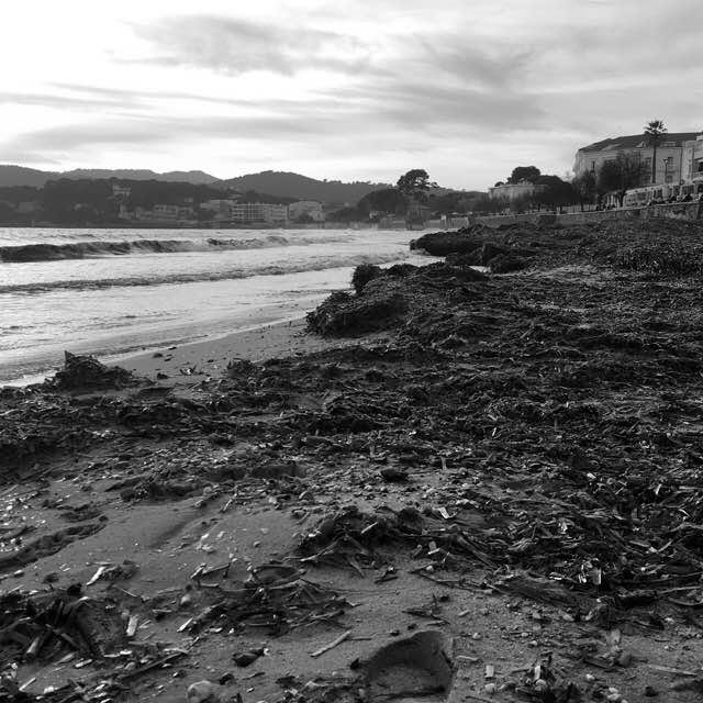 Sentier Tamaris/Sablettes