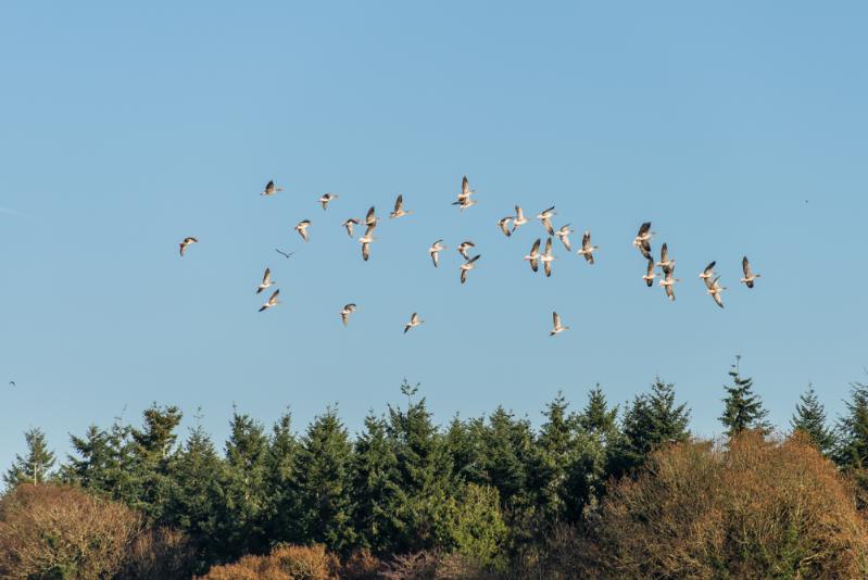 Best Hike For Insane Views: Ockley To Leith Hill walking route map in Capel